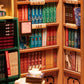 DIY Miniature House Book Nook Kit: Bookstore