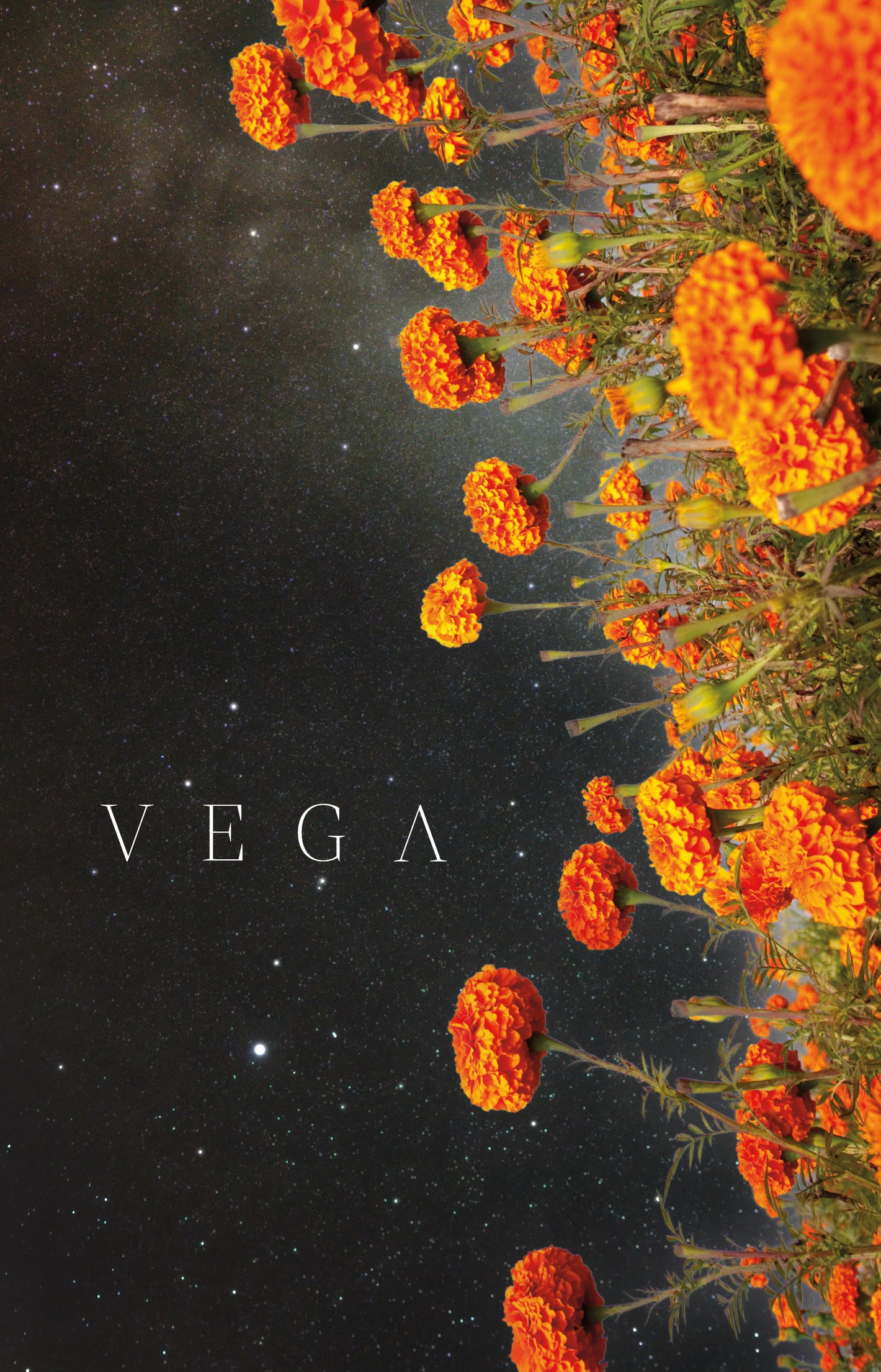 Vega