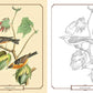 Audubon Birds Coloring Book