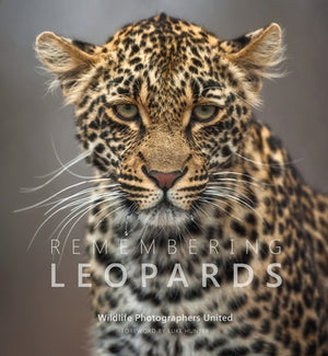 Remembering Leopards by Raggett, Margot