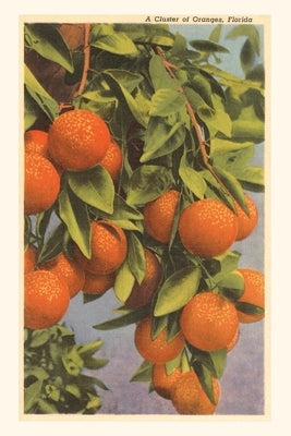 Vintage Journal Oranges, Florida by Found Image Press