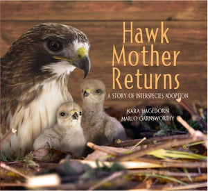 Hawk Mother Returns: A Story of Interspecies Adoption by Hagedorn, Kara