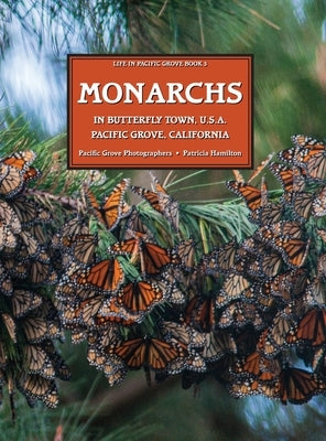 MONARCHS In Butterfly Town U.S.A., Pacific Grove, California by Hamilton, Patricia