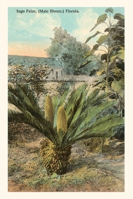 Vintage Journal Cycad, Sago Palm, Florida by Found Image Press