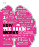 How the Brain Works: The Facts Visually Explained by DK