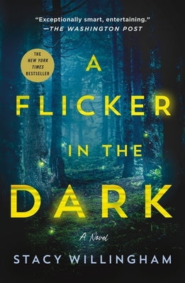 A Flicker in the Dark by Willingham, Stacy