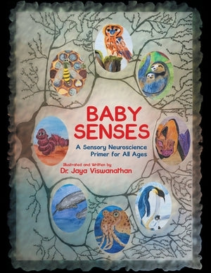 Baby Senses: A Sensory Neuroscience Primer for All Ages by Viswanathan, Jaya