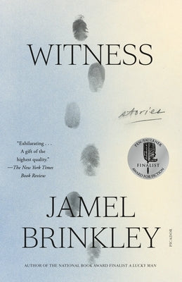 Witness: Stories by Brinkley, Jamel