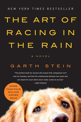 The Art of Racing in the Rain by Stein, Garth