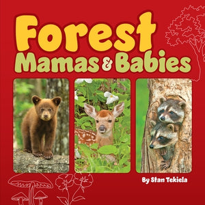 Forest Mamas & Babies by Tekiela, Stan