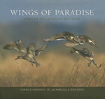 Wings of Paradise: Birds of the Louisiana Wetlands by Hohorst, Charlie