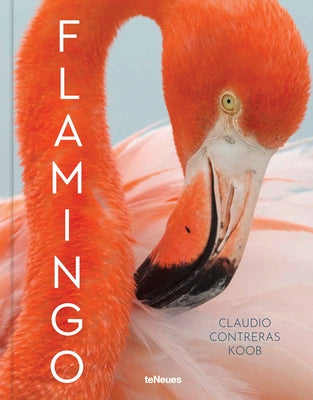 Flamingo by Koob, Claudio Contreras