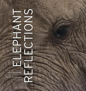 Elephant Reflections by Ammann, Karl