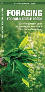 Foraging for Wild Edible Foods: A Folding Pocket Guide to Sustainable Practices & Harvesting Techniques by Kavanagh, James