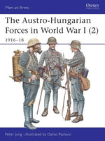 The Austro-Hungarian Forces in World War I (2): 1916-18 by Jung, Peter