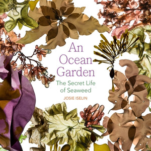 An Ocean Garden: The Secret Life of Seaweed by Iselin, Josie