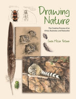 Drawing Nature: The Creative Process of an Artist, Illustrator, and Naturalist by Feltner, Linda Miller