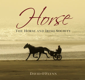 Horse: The Horse and Irish Society by O'Flynn, David