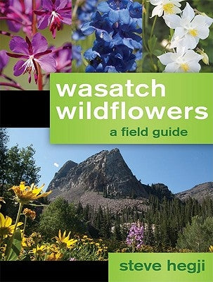 Wasatch Wildflowers by Hegji, Steve