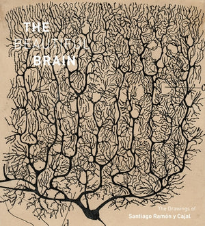 The Beautiful Brain: The Drawings of Santiago Ramon Y Cajal by Swanson, Larry W.