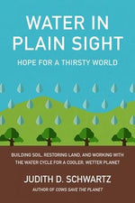 Water in Plain Sight: Hope for a Thirsty World by Schwartz, Judith D.