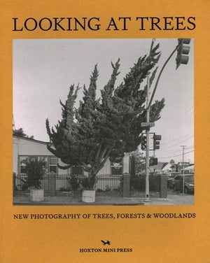 Looking at Trees: New Photography of Trees, Forests and Woodlands by Howarth, Sophie