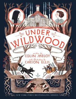 Under Wildwood by Meloy, Colin