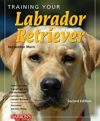 Training Your Labrador Retriever by Morn, September