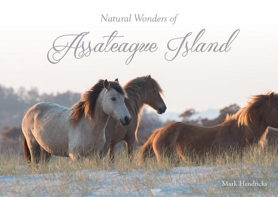 Natural Wonders of Assateague Island by Hendricks, Mark