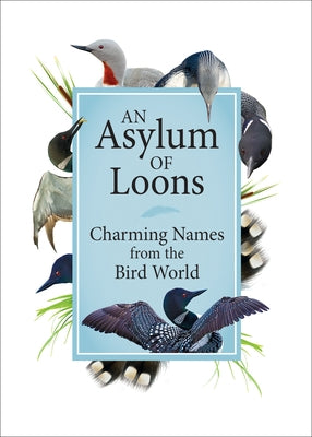 An Asylum of Loons: Charming Names from the Bird World by Publications, Adventure