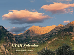 Utah Splendor by Linnehan, Dennis William