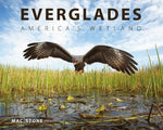 Everglades: America's Wetland by Stone, Mac