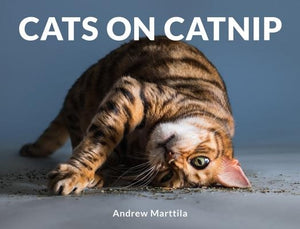 Cats on Catnip by Marttila, Andrew