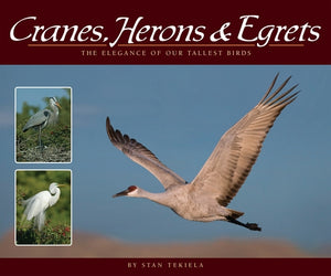 Cranes, Herons & Egrets: The Elegance of Our Tallest Birds by Tekiela, Stan