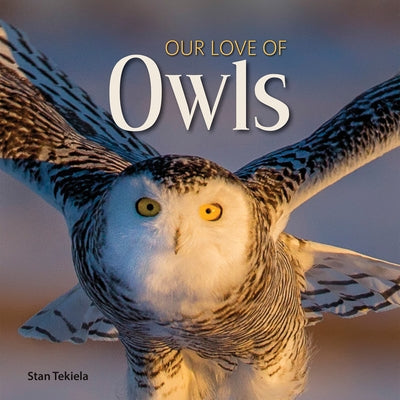 Our Love of Owls by Tekiela, Stan