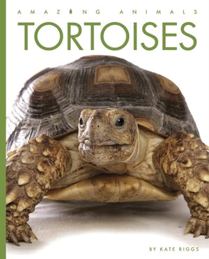 Tortoises by Riggs, Kate