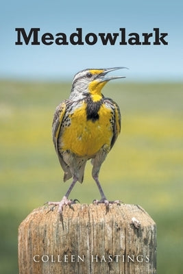 Meadowlark by Hastings, Colleen