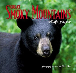 Great Smoky Mountains Wildlife Portfolio by Lea