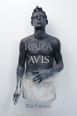 Rara Avis by Falconer, Blas