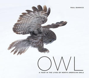 Owl: A Year in the Lives of North American Owls by Bannick, Paul