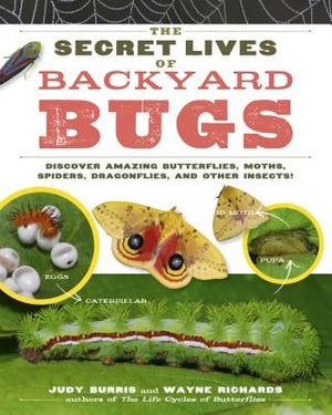 The Secret Lives of Backyard Bugs: Discover Amazing Butterflies, Moths, Spiders, Dragonflies, and Other Insects! by Burris, Judy