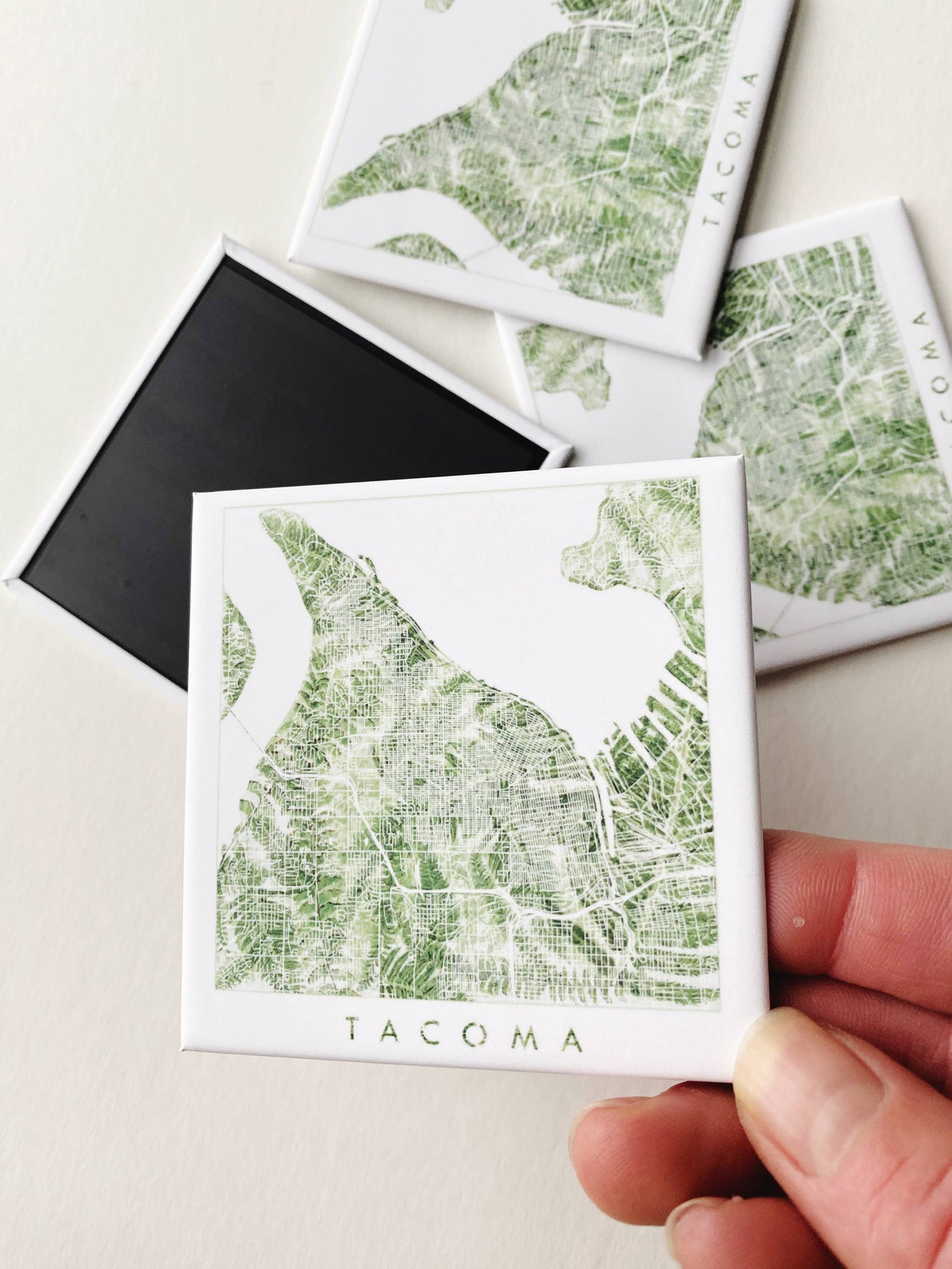 Tacoma Ferns Art Map - Metal Magnet