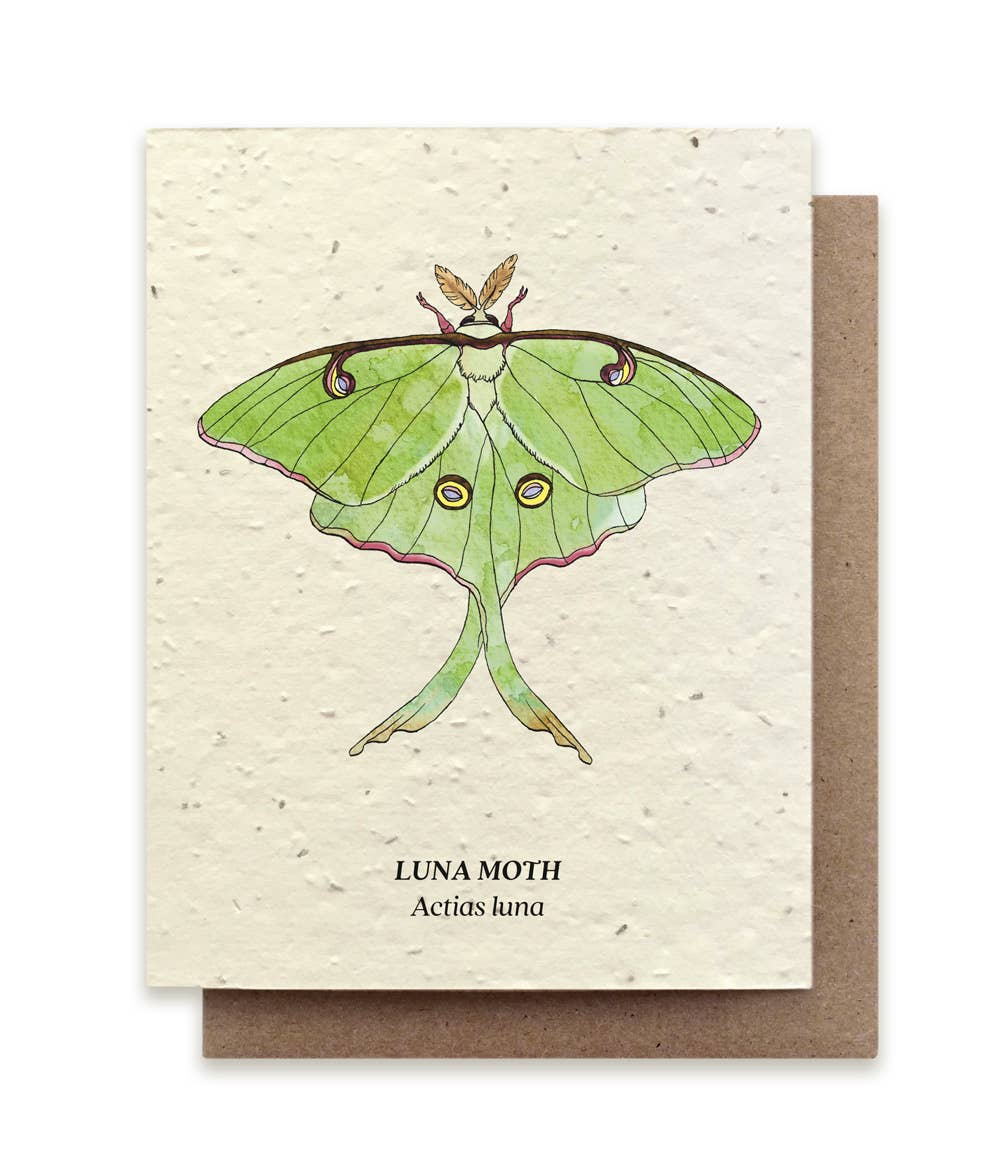 Luna Moth Plantable Wildflower Seed Card