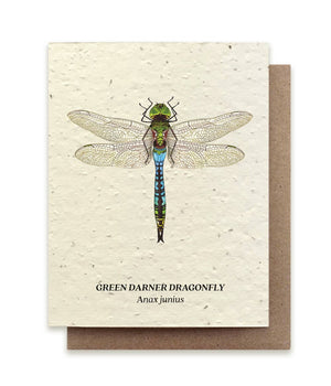 Green Darner Dragonfly Plantable Wildflower Seed Car